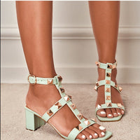 ARI HEELS