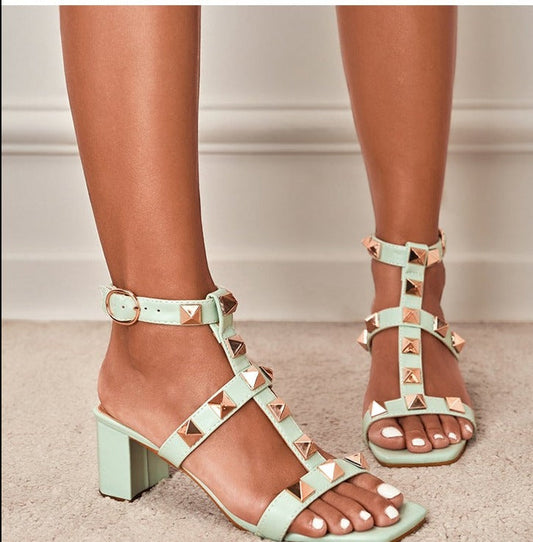 ARI HEELS