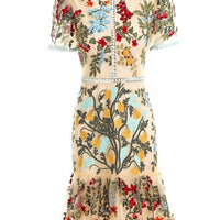 LINDA EMBROIDERED DRESS limited edition