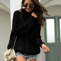 Layma Style Knit Turtleneck Sweater