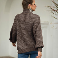 Layma Style Knit Turtleneck Sweater