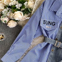 Verginia Denim Shirt