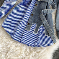 Verginia Denim Shirt