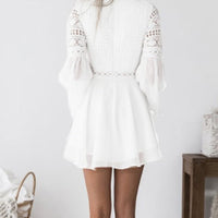 Assia Lace Mini Dress